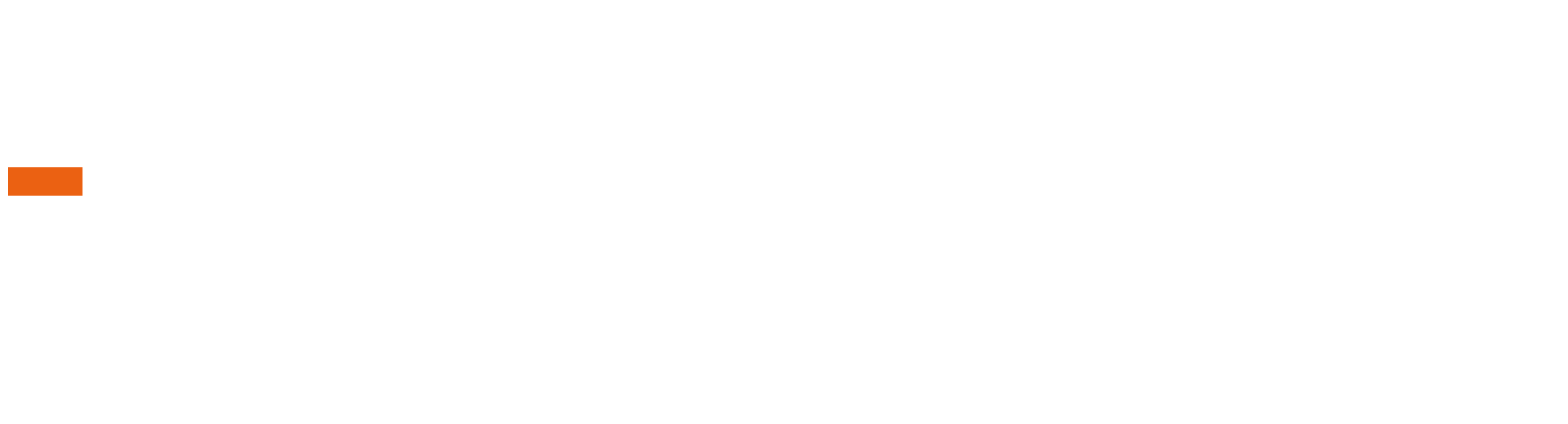 berchance-logo-description-white